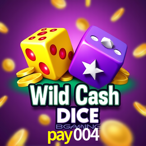 Experiência VIP pay004